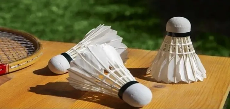 Bí Quyết Chinh Phục Cá Cược Cầu Lông Tại FUN88: Thắng Lớn Trong Từng Trận Đấu